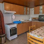 Josip Punta Kriza 3*